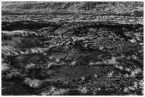 Petroglyphs created on the lava substrate. Hawaii Volcanoes National Park, Hawaii, USA. (black and white)