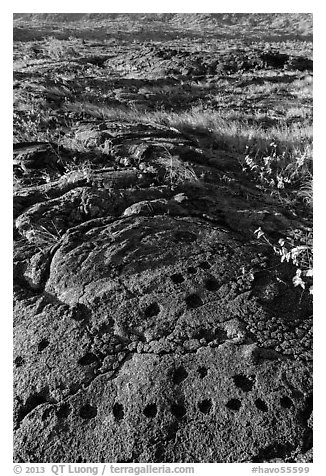 Petroglyph with motif of cupules and holes. Hawaii Volcanoes National Park, Hawaii, USA.