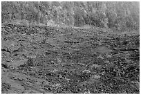 Kilauea Iki Crater floor and walls. Hawaii Volcanoes National Park ( black and white)
