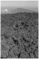 Field of rough aa lava on Mauna Loa summit and Puu Waawaa. Hawaii Volcanoes National Park ( black and white)