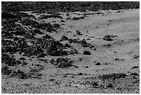 Olivine slopes and black aa lava. Hawaii Volcanoes National Park ( black and white)