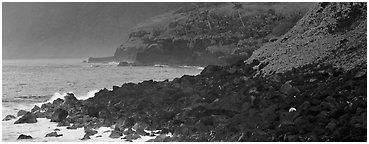 Coastline of Volcanic boulders, Tau Island. National Park of American Samoa (Panoramic black and white)