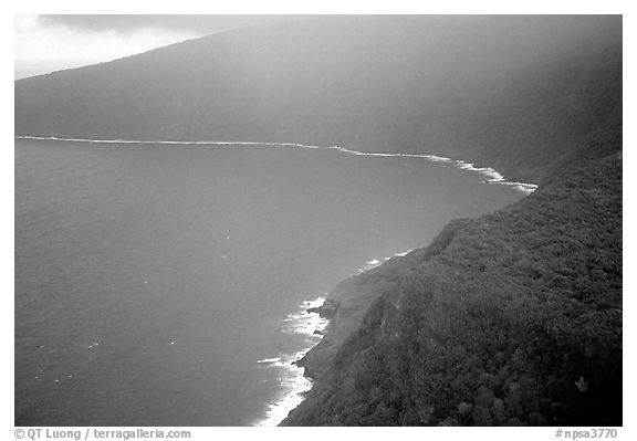 Aerial view of the wild South coast of Tau Island. National Park of American Samoa (black and white)