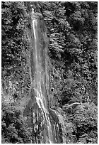 Ephemeral waterfall formed after the rain, Tutuila Island. National Park of American Samoa ( black and white)