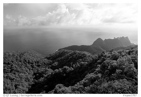 Tropical forest and Ocean from Mont Alava, Tutuila Island. National Park of American Samoa