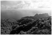 Tropical forest and Ocean from Mont Alava, Tutuila Island. National Park of American Samoa ( black and white)