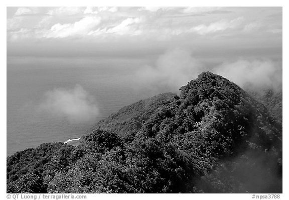 Forested ridges and Pacific Ocean from Mont Alava, Tutuila Island. National Park of American Samoa (black and white)