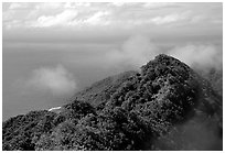 Forested ridges and Pacific Ocean from Mont Alava, Tutuila Island. National Park of American Samoa ( black and white)