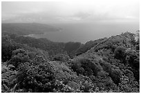 View from Mont Alava, Tutuila Island. National Park of American Samoa ( black and white)