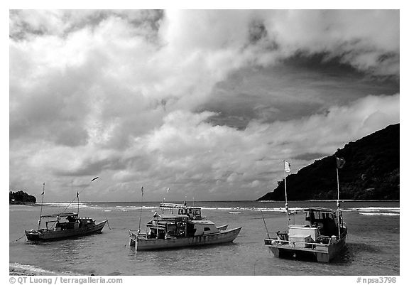 Fishing boats in Vatia Bay, Tutuila Island. National Park of American Samoa (black and white)
