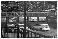 Parking lot window reflexion, Visitor Center. National Park of American Samoa ( black and white)