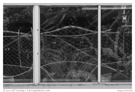 Tropical vegetation window reflexion, Visitor Center. National Park of American Samoa (black and white)