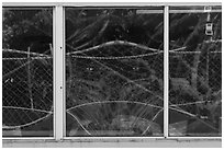 Tropical vegetation window reflexion, Visitor Center. National Park of American Samoa ( black and white)