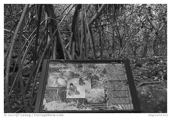 Screwpine interpretive sign, Ofu Island. National Park of American Samoa (black and white)