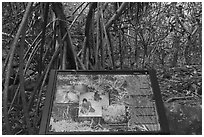 Screwpine interpretive sign, Ofu Island. National Park of American Samoa ( black and white)