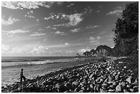 Visitor looking, Tuafanua Beach, Tuitula. National Park of American Samoa ( black and white)