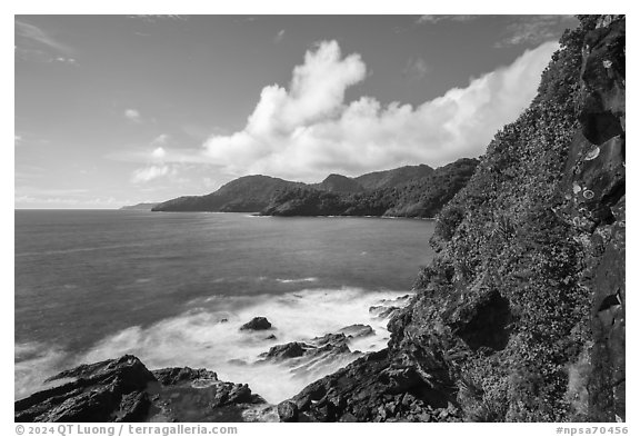 Coast from Lower Sauma Ridge. National Park of American Samoa (black and white)