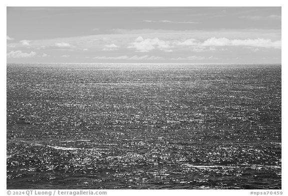 South Pacific Ocean shimering. National Park of American Samoa (black and white)