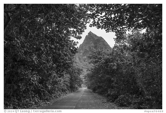 Road and Sunuitao Peak, Ofu Island. National Park of American Samoa (black and white)