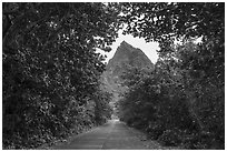 Road and Sunuitao Peak, Ofu Island. National Park of American Samoa ( black and white)