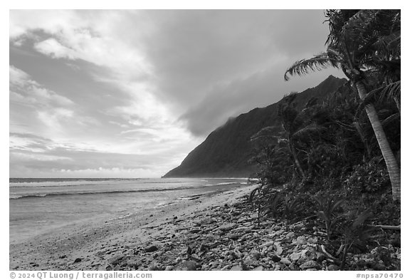 East end of Ofu Beach. National Park of American Samoa (black and white)