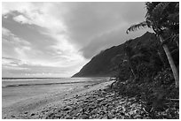 East end of Ofu Beach. National Park of American Samoa ( black and white)