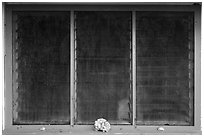 Corals, Ofu Ranger Station and Visitor Center window. National Park of American Samoa ( black and white)