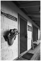 Ofu Ranger Station and Visitor Center door and window. National Park of American Samoa ( black and white)