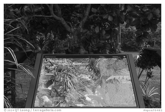 Tropical forest interpretive sign, Ofu Island. National Park of American Samoa (black and white)