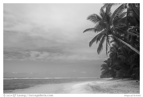 Palm trees and lagoon, Ofu South Beach. National Park of American Samoa (black and white)