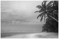 Palm trees and lagoon, Ofu South Beach. National Park of American Samoa ( black and white)