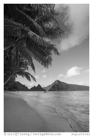 Palm trees, Ofu South Beach, Sunuitao Peak and Piumafua Mountain. National Park of American Samoa (black and white)