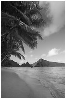 Palm trees, Ofu South Beach, Sunuitao Peak and Piumafua Mountain. National Park of American Samoa ( black and white)