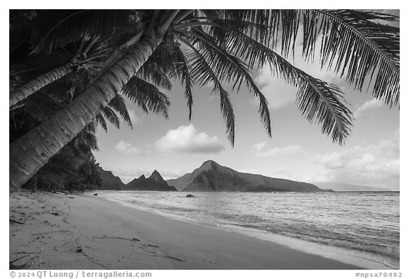 Coconut trees, Ofu Beach, Sunuitao Peak, Olosega Island, and Tau Island. National Park of American Samoa (black and white)