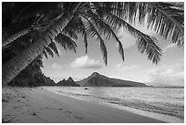 Coconut trees, Ofu Beach, Sunuitao Peak, Olosega Island, and Tau Island. National Park of American Samoa ( black and white)