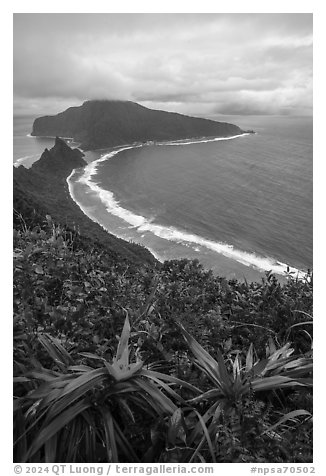 View from Tumu Overlook, Ofu Island. National Park of American Samoa (black and white)