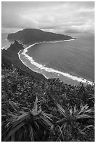 View from Tumu Overlook, Ofu Island. National Park of American Samoa ( black and white)