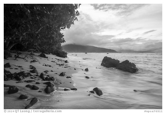 Beach with rocks and Olosega Island. National Park of American Samoa (black and white)