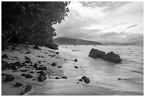 Beach with rocks and Olosega Island. National Park of American Samoa ( black and white)