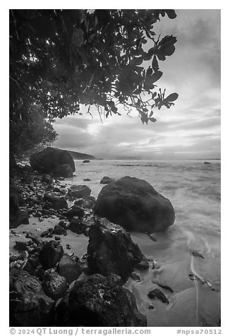 Boulders on Ofu Beach. National Park of American Samoa (black and white)