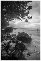 Boulders on Ofu Beach. National Park of American Samoa ( black and white)