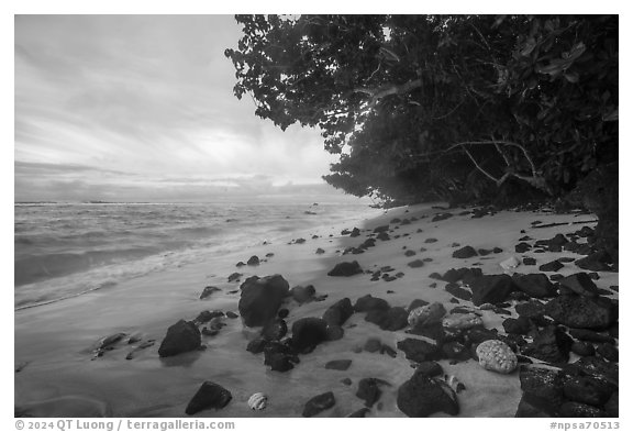 Beach with volcanic rocks, corals, Ofu Island. National Park of American Samoa (black and white)