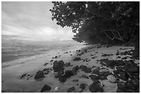 Beach with volcanic rocks, corals, Ofu Island. National Park of American Samoa ( black and white)