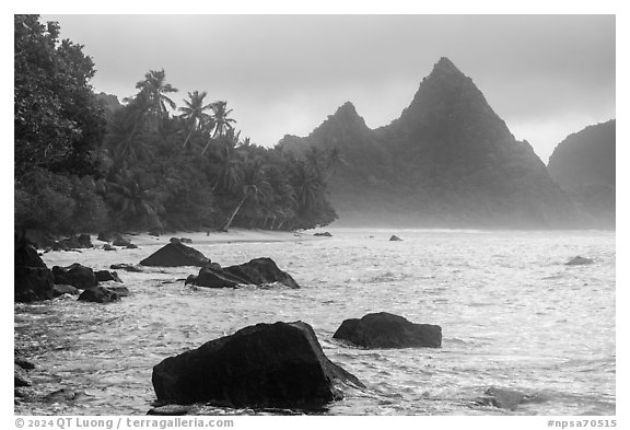 Rocks, palm trees, and Sunuitao Peak, Ofu Island. National Park of American Samoa (black and white)