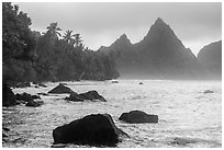 Rocks, palm trees, and Sunuitao Peak, Ofu Island. National Park of American Samoa ( black and white)