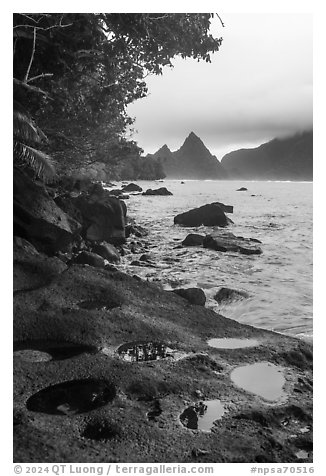 Pools on volcanic rocks and Sunuitao Peak, Ofu Island. National Park of American Samoa (black and white)