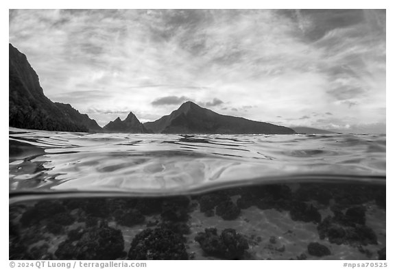 Over-under split view of Ofu South Beach Lagoon and jagged mountains. National Park of American Samoa (black and white)