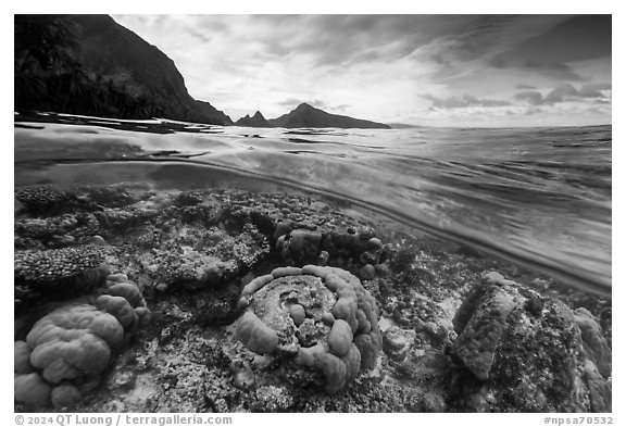 Over-under split view of Ofu Lagoon corals and Ofu mountains (AI-generated). National Park of American Samoa (black and white)