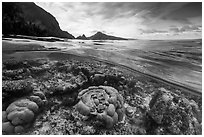 Over-under split view of Ofu Lagoon corals and Ofu mountains (AI-generated). National Park of American Samoa ( black and white)