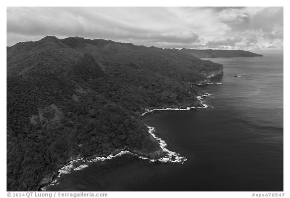 Aerial view of Tuitula north coast. National Park of American Samoa (black and white)